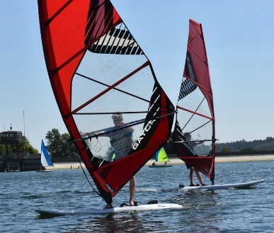 Adults windsurfing.